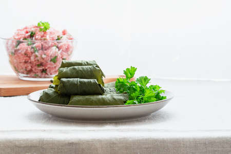 beautiful dolma of grape leaves for dinner