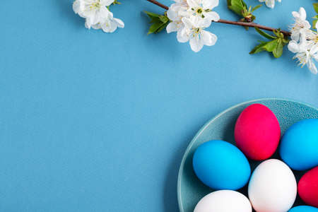 painted Easter eggs on spring blue backgroundの写真素材