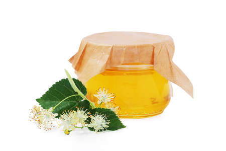 blooming Tilia on a white backgroundの写真素材