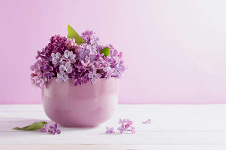 branches of blooming lilac in a cup on a purple backgroundの写真素材