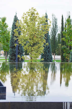 The background of the water surface with ripples for the subsequent placement of objects on it