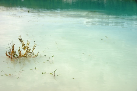 Blue and green - beautiful russian nature at summerの写真素材