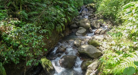 Guadeloupe: in Atlantic ocean and Caribbean seaの写真素材