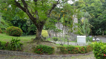 Exotic vacations in Martinique between sea and oceanの写真素材