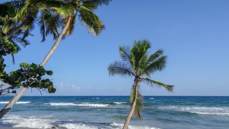 Exotic vacations in Martinique between sea and oceanの写真素材
