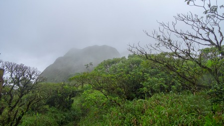 Exotic vacations in Martinique between sea and ocean
