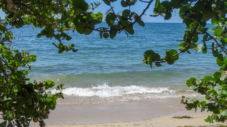 Exotic vacations in Martinique between sea and ocean