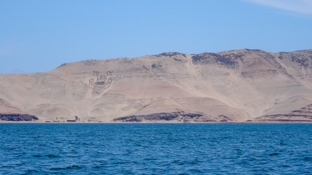 Excursion in Peru where the tourists can swim with the sea lions in the Pacific ocean.の写真素材