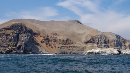 Excursion in Peru where the tourists can swim with the sea lions in the Pacific ocean.の写真素材