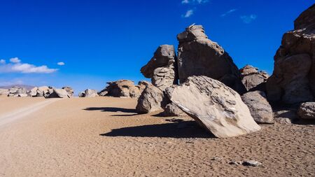 Amazing mountains and volcanos, flamingos and lamas on Altiplano tableland in Bolivia, South...