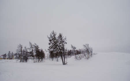 The amazing nature of the Russian North. The city of Naryan-Mar and the Nenets Autonomous Okrug....