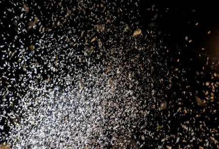 A stunning procession during the carnival in Lucerne. It is the center of Switzerland. Noise,...