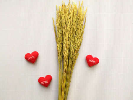 ear of rice and sign showing heart embroidered red letters loveの写真素材