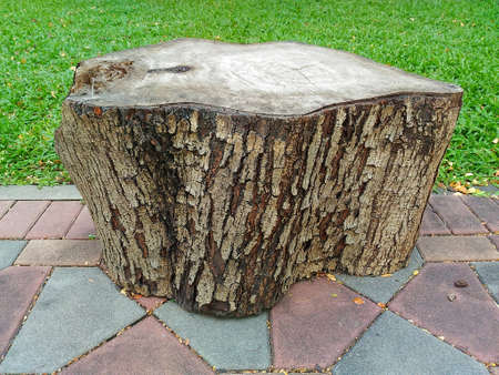Timber converted into a seat in the gardenの写真素材