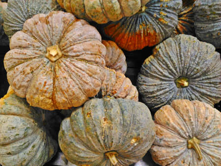 Pumpkins are for sale in a local market in Thailandの写真素材