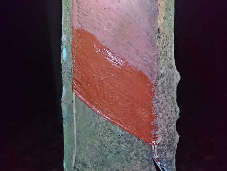 Rubber trunks that have been tapped to remove latex ,After applying a rubber treatment solutionの写真素材