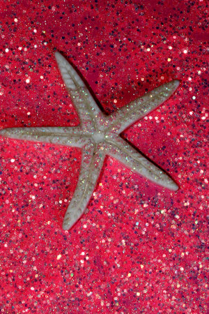 white star on pink backgroundの写真素材