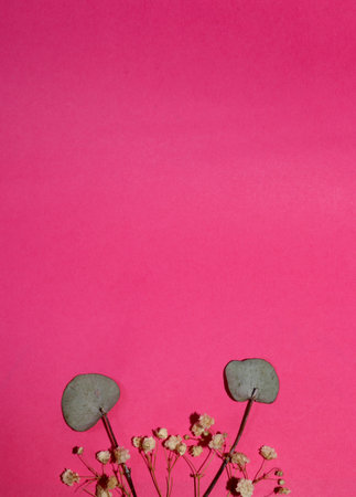 creative concept minimal composition of flowers and two leaves of flowers representing the head and eyes of a snail at the bottom of a pink backgroundの写真素材
