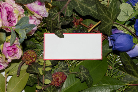 pink in purole flowers and green leaves beautiful wallpaper with white copy space, forest style creative greetingの写真素材