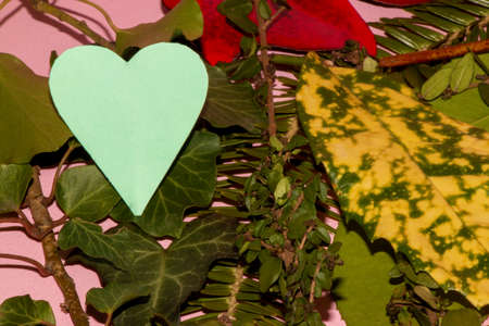 colorful leaves with a pastel blue heart as a copy space natural forest creative design