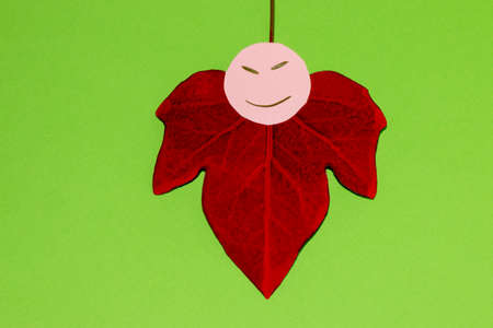 red leaf with an evil head, creative art ghost concept, copy space on a green backgroundの写真素材