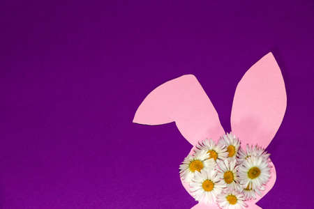 paper pink bunny covered with daisy flowers on the right down corner of the purple background, space i copy, creative art spring design, happy easterの写真素材