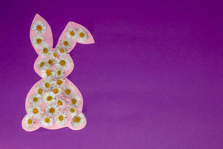 paper pink bunny covered with daisy flowers on the left side of the background purple, space i copy,...