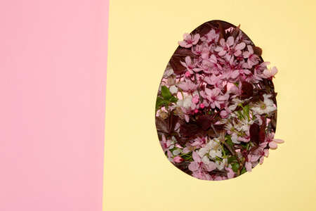 egg cut in yellow paper, filled with pink and white flowers and leaves, flat laid, happy easter, pink yellow background as copy spaceの写真素材