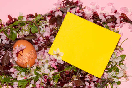 pink and white flowers from the tree many flowers in a pile in it one egg with a flower on it and a...