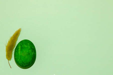green egg with green grass on patel green background, copy space for designer, easter concept