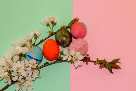 five colorful easter eggs in a twig full of white petals on a pastel blue-pink background