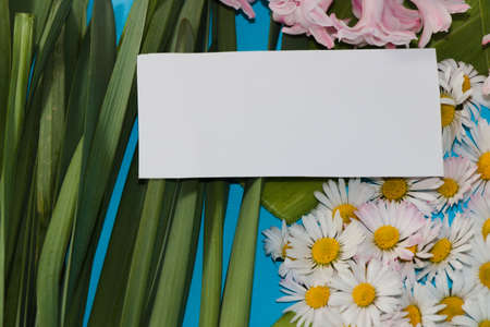 white card on a background with green oblong leaves and flowers, creative summer design