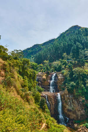 Waterfall in the mountains jungle summer tropics.の写真素材