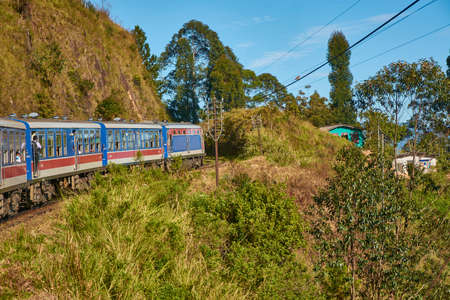 Jungle train, mountains, bridge, summer.