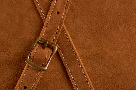 Background genuine leather of red color, brass bucklesの写真素材