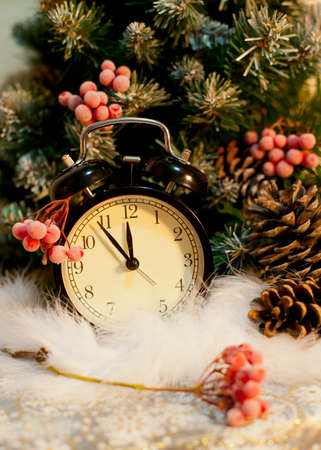 New Year clock. Cones. Snow. Christmas tree.
