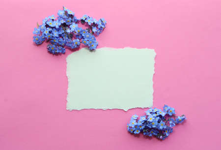 Blank piece of paper for your text.の写真素材