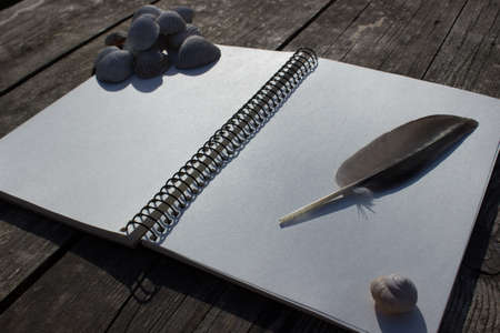 Notebook, shells, feather and old wooden tableの写真素材
