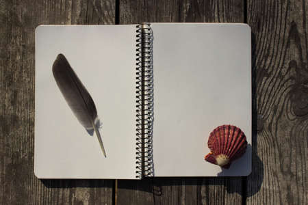 Notebook, red shell, feather and old wooden tableの写真素材