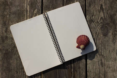 Open notebook, shells  and old wooden tableの写真素材