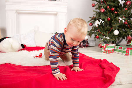 Child or baby near green christmas treeの写真素材
