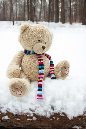 Lost teddy bear sitting on the log in the winter forestの写真素材