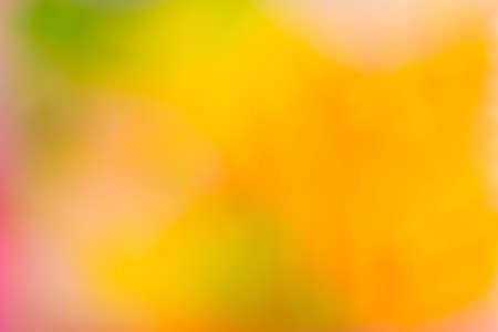 Abstract blur fresh color background landscape orientation orange green yellow pinkの写真素材