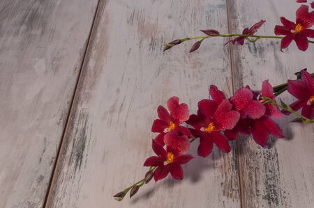 background with flowers on the tableの写真素材