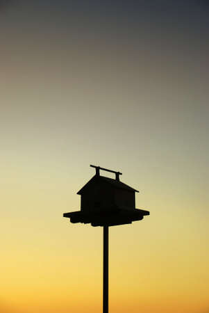 Bird Nest