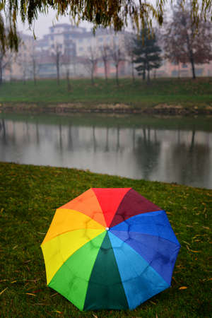 Colorful umbrella on the fieldの写真素材