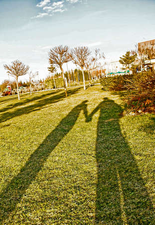 Valentine couples shadow on the grassの写真素材