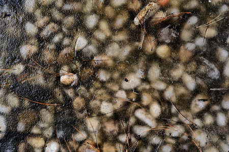 Frozen shallow water on pebble stonesの写真素材