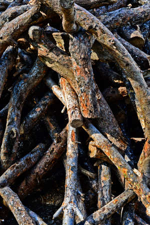 Firewood pileの写真素材