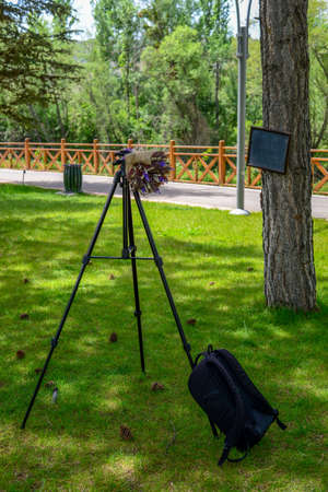 Outdoor wedding photographyの写真素材